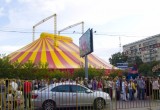 Грандиозный цирк «Корона» в Калуге с 9 по 25 сентября